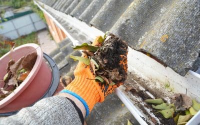 Outdoor Spring Cleaning and Maintenance Tips