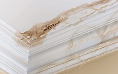 7 Tips to Prevent Residential Water Damage