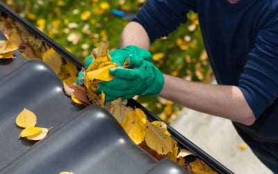 Clear the Way: The Homeowner’s Guide to Cleaning Your Gutters
